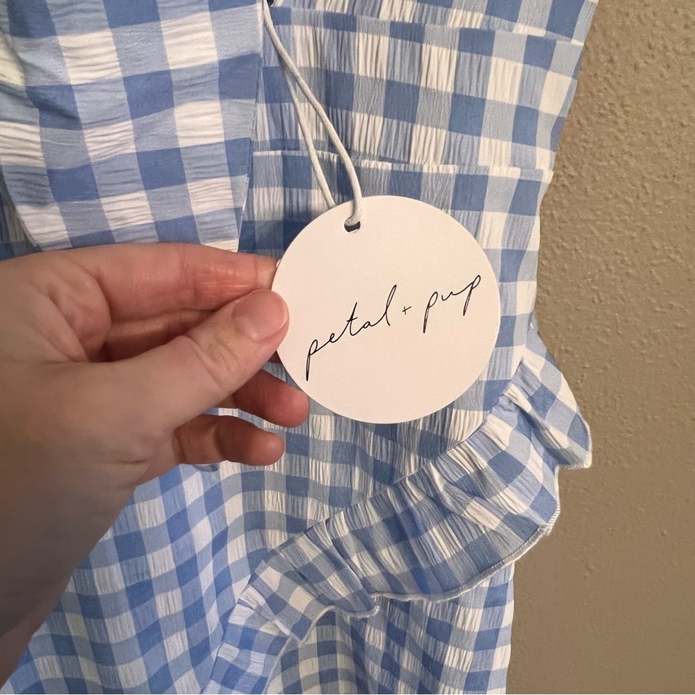 Petal & Pup Blue and White Gingham Tie-Front Mini Dress - Picture 8 of 8